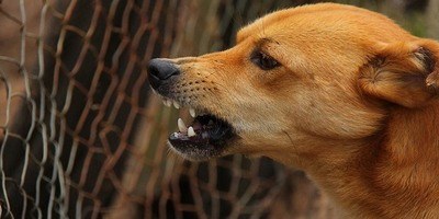 Anger - Interactive Practice
